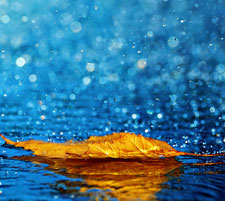 Water Harvesting